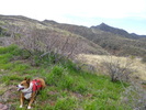 photo thumbnail #5