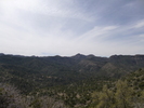photo thumbnail #12