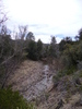 photo thumbnail #14