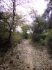 photo thumbnail #15
