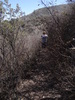 photo thumbnail #7