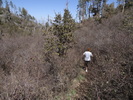 photo thumbnail #9