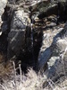 photo thumbnail #11