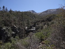 photo thumbnail #12