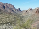 photo thumbnail #1