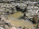 2013-03-23 :3: Rock Creek/barnhardt Loop :: BiFrost