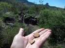 photo thumbnail #2