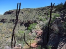photo thumbnail #9