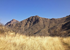 photo thumbnail #3