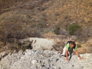 photo thumbnail #9