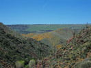 photo thumbnail #9