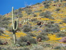 photo thumbnail #10