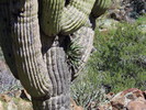 photo thumbnail #12