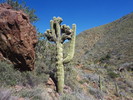 photo thumbnail #14