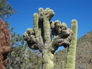 photo thumbnail #15