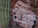 photo thumbnail #3