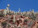 photo thumbnail #11