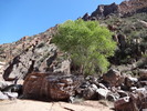 photo thumbnail #12