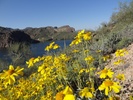 photo thumbnail #10