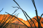 photo thumbnail #1