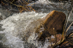 photo thumbnail #13