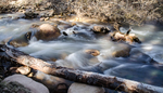 photo thumbnail #14