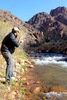photo thumbnail #13