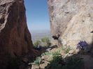 photo thumbnail #3