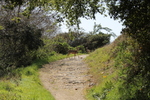 photo thumbnail #10
