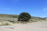 photo thumbnail #14