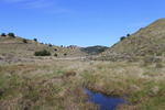 photo thumbnail #15