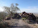 photo thumbnail #4