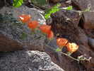 photo thumbnail #5