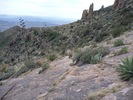 photo thumbnail #10
