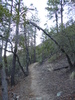photo thumbnail #3