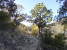 photo thumbnail #5