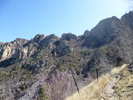 photo thumbnail #13
