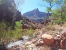 photo thumbnail #9