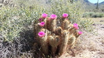photo thumbnail #2