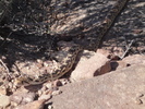 photo thumbnail #14