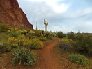 photo thumbnail #12