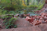 photo thumbnail #1