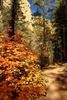 photo thumbnail #11
