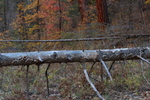 photo thumbnail #13