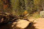 photo thumbnail #14