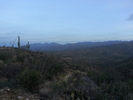 photo thumbnail #2