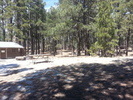photo thumbnail #15