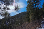 photo thumbnail #1