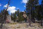 photo thumbnail #9