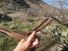 photo thumbnail #15